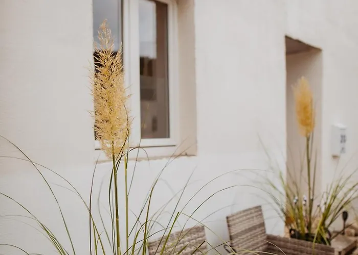 Jasta Homes Mosel, Zentral, Netflix, Waschmaschine, Terrasse, Privateingang, Erdgeschoss, Aeltester Weinort Deutschlands 노이마겐드론